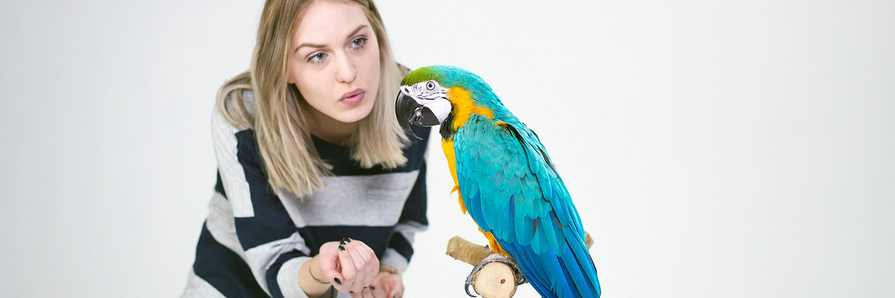 flicka med papegoja